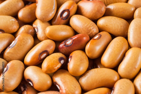 Fototapeta Beans varieties chocolate bowl close-up. Macro shot.