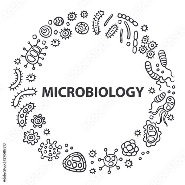 Fototapeta Microbiology logo. Bacterial microorganism outline. Doodle style. Illustration of different germs, primitive organisms, micro-organisms, disease-causing objects, cell cancer, bacteria, viruses.