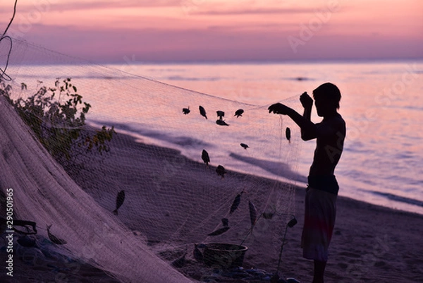Obraz Silhouette of the indonesian fisherman removing fishes from the fishin net, Gİli Meno Island, Indonesia