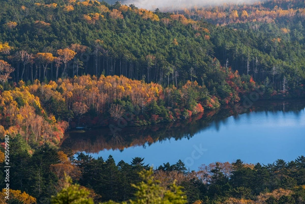 Obraz 秋　高見石からの白駒池