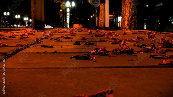 Obraz flores no chão