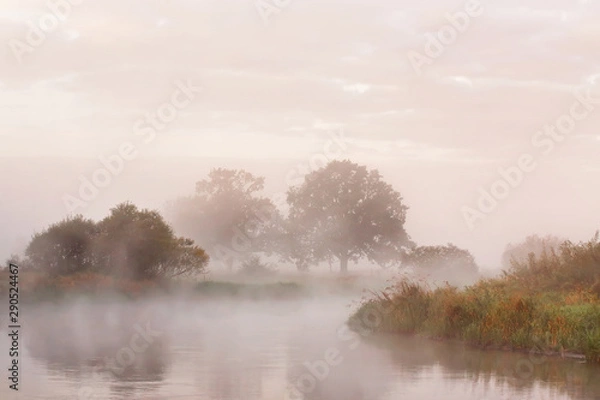 Fototapeta Misty autumn morning on river. Lone oak trees on meadow