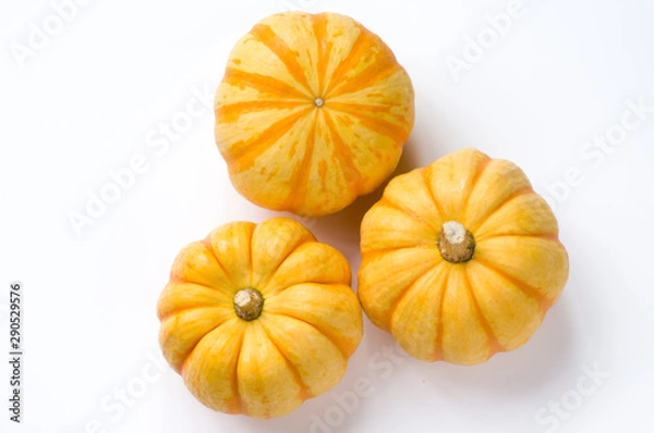 Fototapeta ミニカボチャ