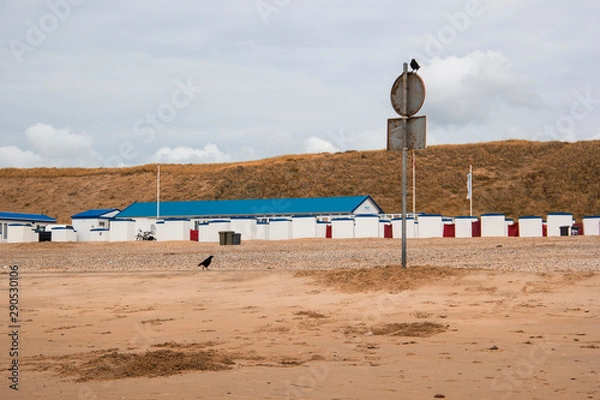 Obraz  Beach in Netherlands