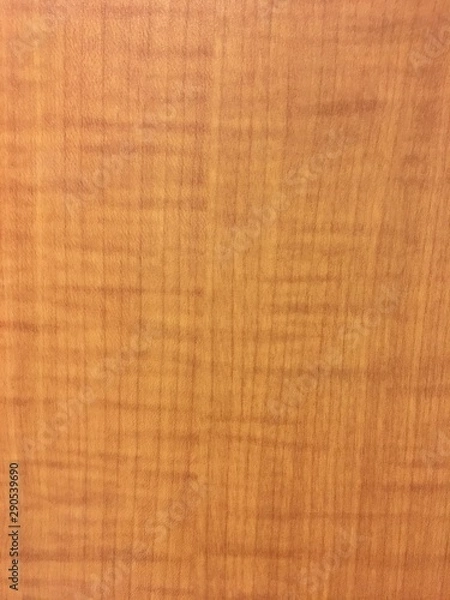 Obraz bamboo background