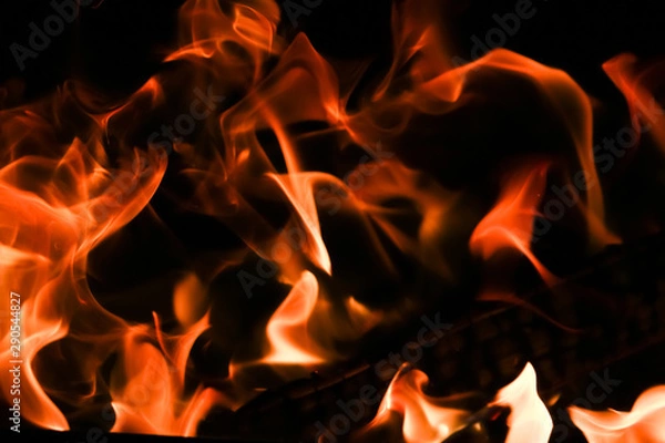 Obraz Fire flames on black background