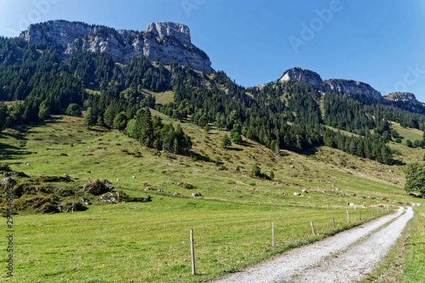 Fototapeta Vallée des Alpes Suisses