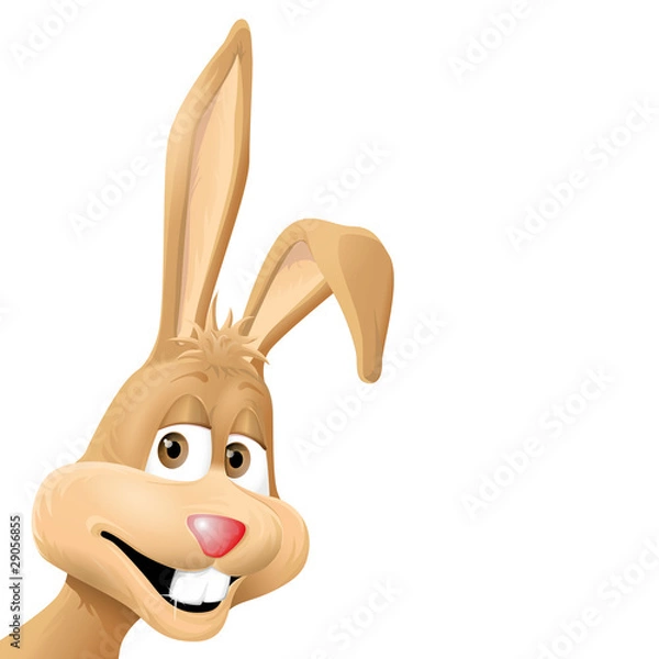 Obraz bunny jpeg