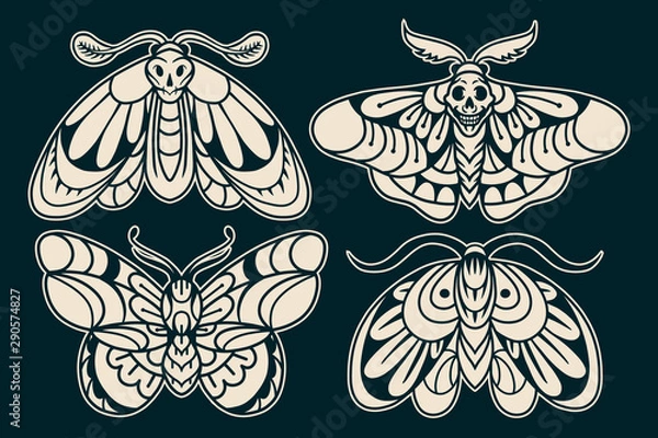 Obraz Moth hand drawing old school tattoo.