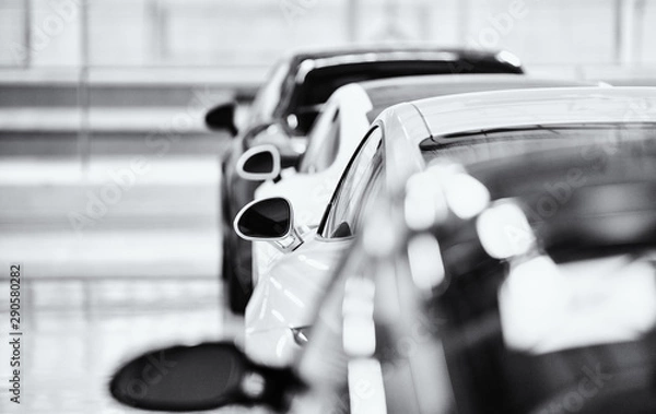 Obraz Piękny widok do tyłu