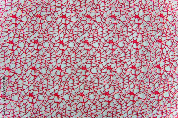 Fototapeta red mesh background on a white background