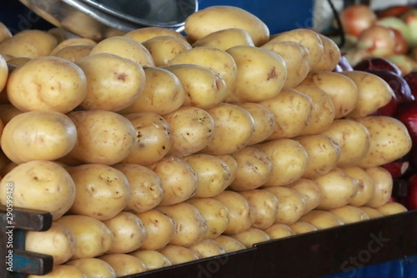 Obraz Fruta 1