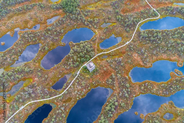 Fototapeta Aerial view of swamp and wooden path in Kemeri national park during sunrise. (high ISO image)