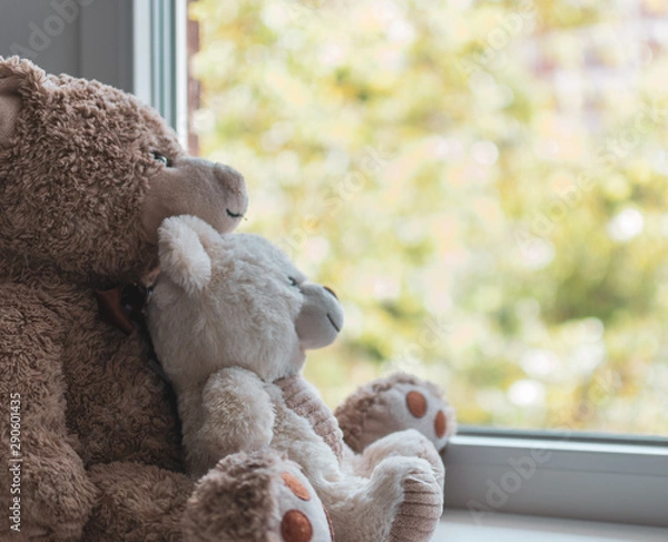 Fototapeta Two cuddled teddy bears hugging looking out a window