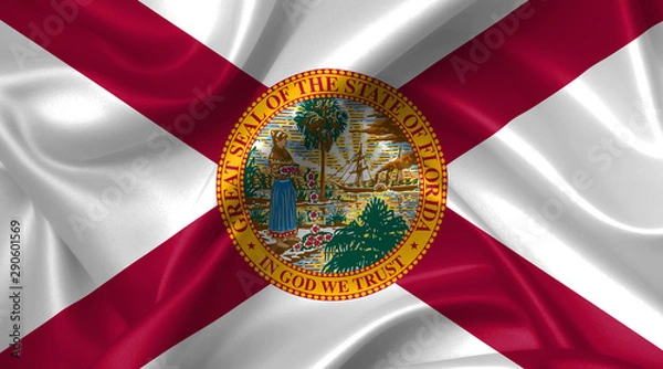 Obraz florida flag