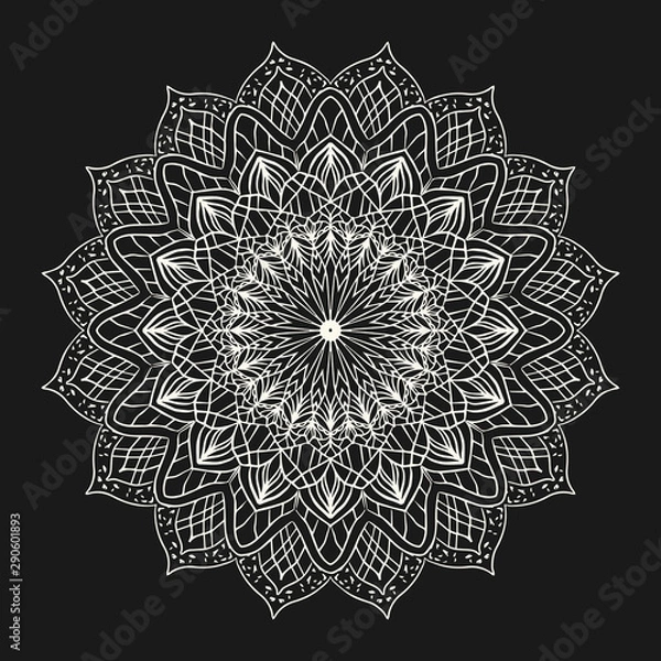 Obraz Ornamental abstract ethnic mandala element on dark background