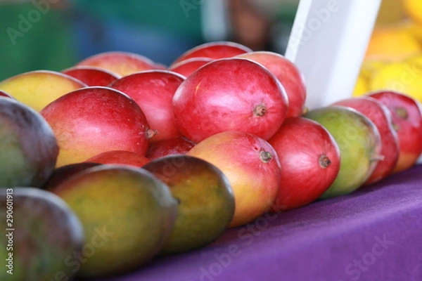 Obraz Fruta 4