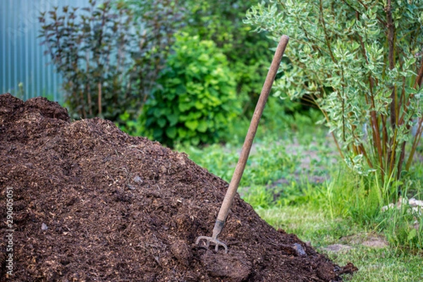 Fototapeta old pitchfork stuck in a pile of manure to fertilize the soil in the garden