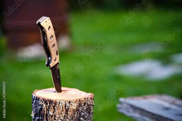 Fototapeta Folding knife on a stump on a background of grass