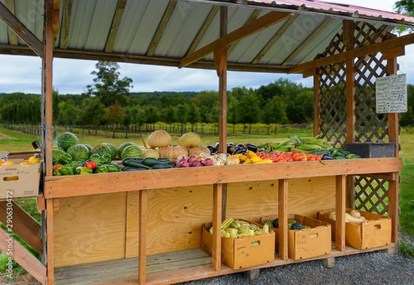 Obraz Self serve farm stand with fresh  fruit and vegetables in rural countryside