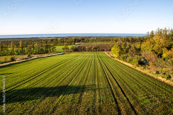 Fototapeta 秋の夕方の斜里町の畑とオホーツク海（北海道・斜里町）