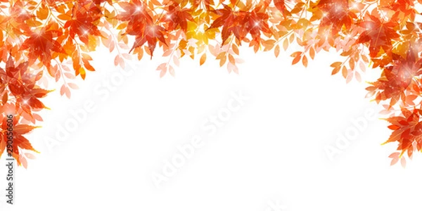 Fototapeta 紅葉　もみじ　秋　背景 