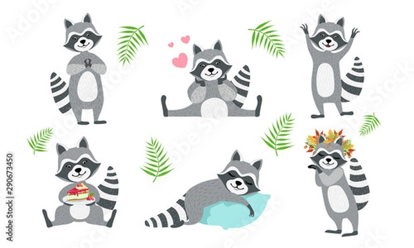 Fototapeta Cute Funny Raccoons Collection, Adorable Funny Forest Animal Character in Different Situations Vector Illustration