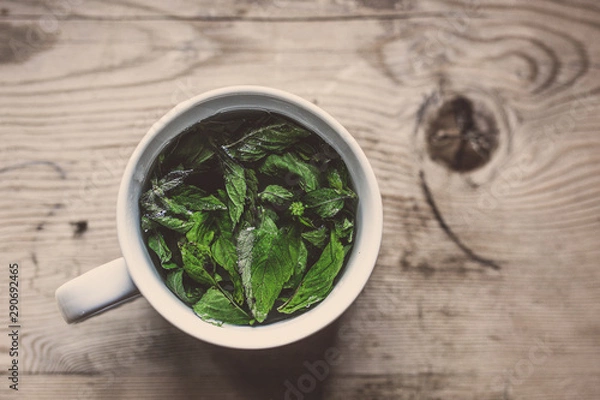 Obraz Fresh Peppermint Tea
