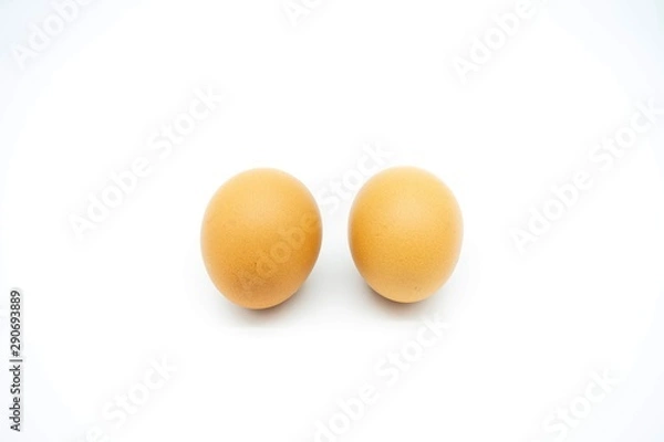 Obraz eggs isolated on white background