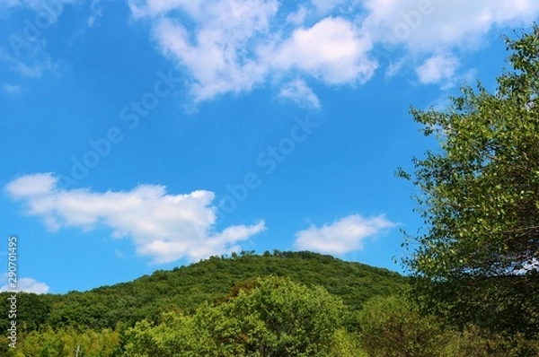 Fototapeta 風景　秋　空　山　杤木　日本