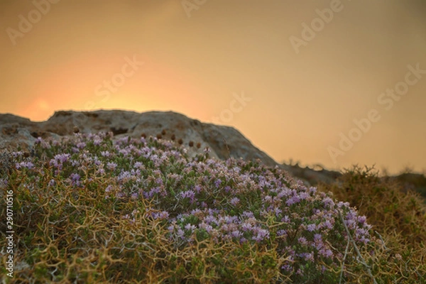Fototapeta Beautiful sunset in the wild west in the mountains and rocks.