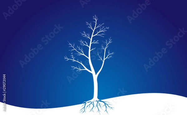 Fototapeta Одинокое дерево