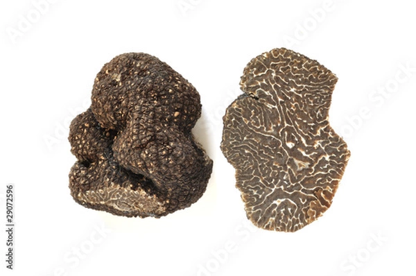 Obraz winter truffle
