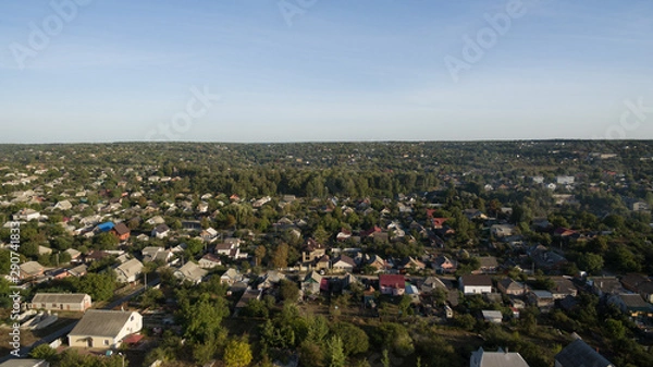 Fototapeta Green forest and many trees from a height.
