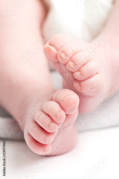 Fototapeta Babyfüsse