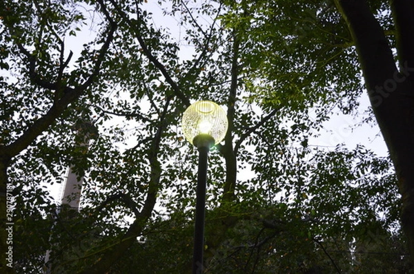 Obraz street lamp
