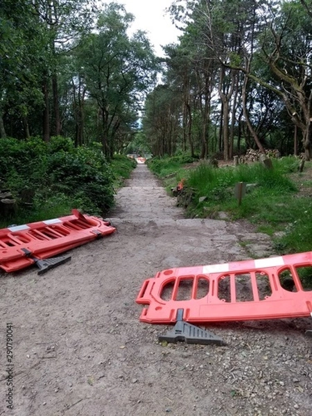 Obraz Landscaping works