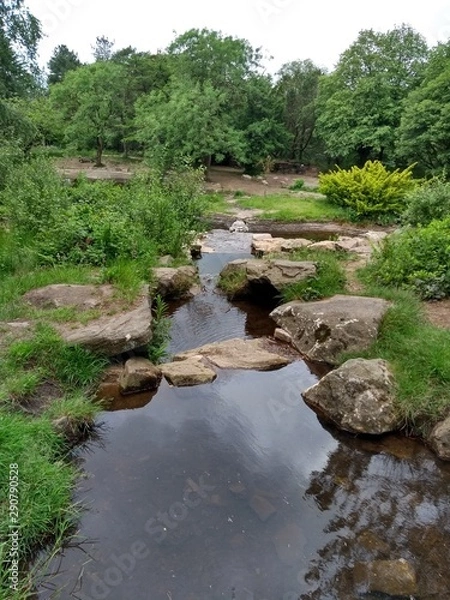 Fototapeta Running water stream