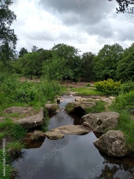 Obraz Running water strem