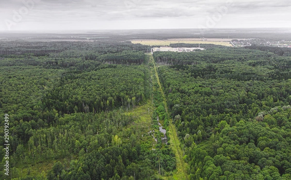 Fototapeta Top view of green mixed forest in perspective, power lines and village