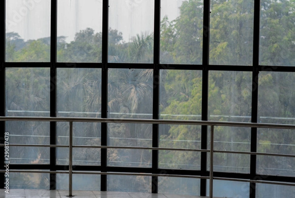 Fototapeta Glass Window and Green Nature and useful for background