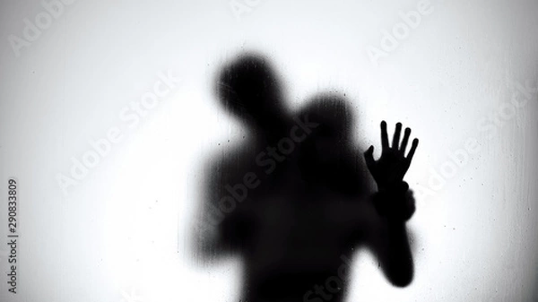 Fototapeta Silhouette of lovers couple hugging and kissing in shower, intimate relationship