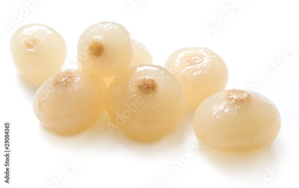 Fototapeta Biała cebula