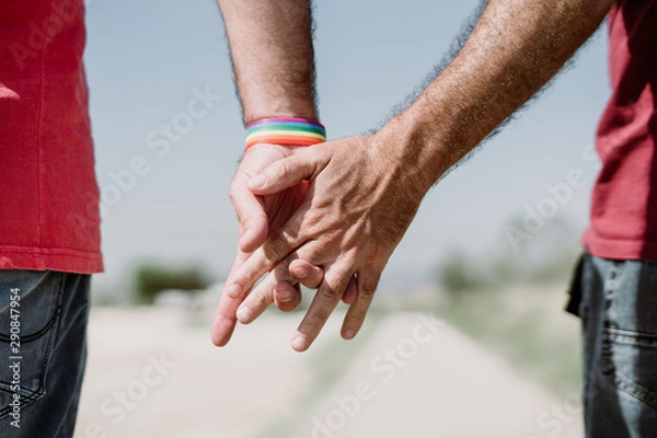 Fototapeta The touch of the hand shows the love, trust and confidence. Rainbow flag is a symbol of lesbian, gay, bisexual, and transgender hands touching each other to show their love.LGTB,LGBT