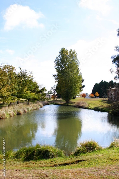 Fototapeta A duckpond in Guyra. Australia.