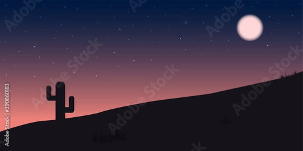 Fototapeta Desert night colorful. Cactus in desert at night and star.