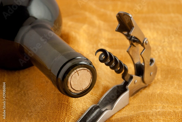 Obraz Corkscrew and wine