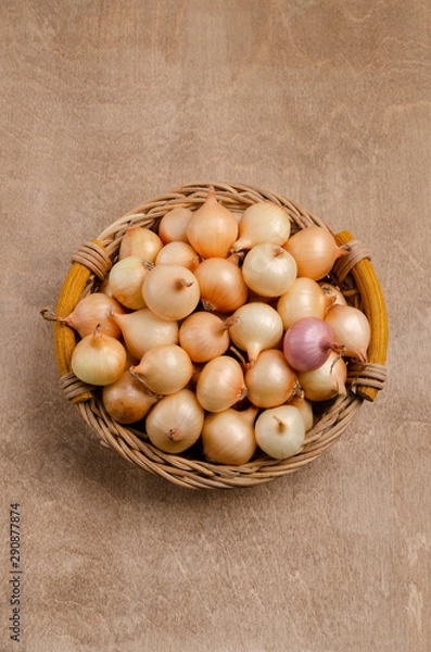 Obraz Raw little onions