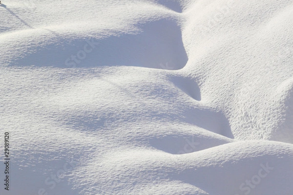 Obraz 雪原の光と影