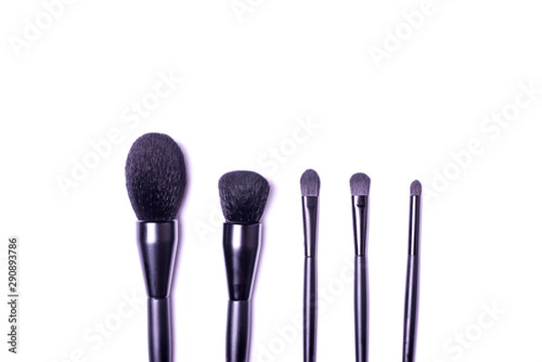 Fototapeta Professional make-up brushes isolated on white background top view.